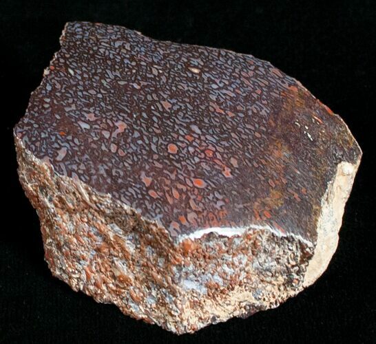 Agatized Dinosaur Bone Chunk (Polished) #6433